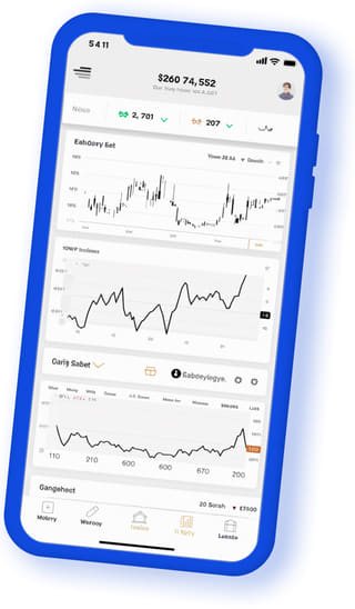 Rumao Provencia digital web application on mobile device